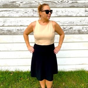 Ann Taylor Fit and Flare Cream and Black Dress sz 12